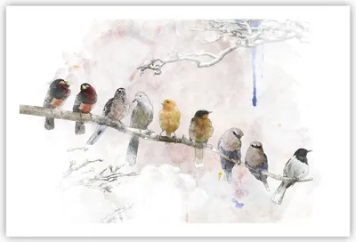 Produktbild von Poster - Poster ohne Rahmen - Vögel Kanarienvogel Zweig - 91,5x61 cm - Wand Bild - Wanddeko - Wandbilder - Kunstposter - Wandposter - Bilder - Kunstdruck - Wanddekoration - Wandbild - P2XAA91x61-4175