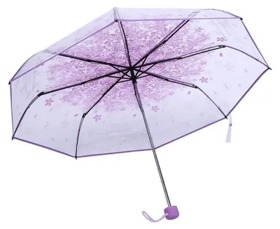 Produktbild von Transparenter Taschenschirm mit Blumenmuster