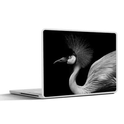Produktbild von MuchoWow® Laptop Aufkleber Sticker Cover Kranich - Schwarz - Weiß - Vogel - Tiere 31x22.5 cm - Laptop-Deko