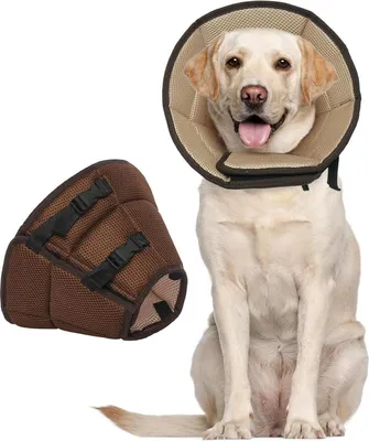 Image de Collier Kuoser pour chien Protection contre les fuites Réglable Marron XL