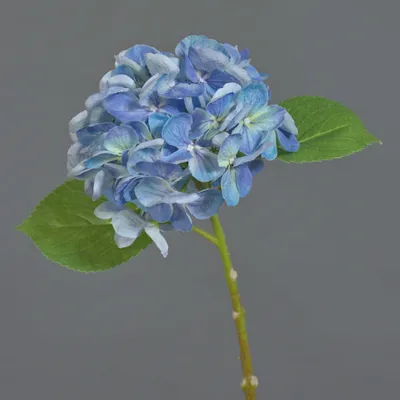 Produktbild von artplants.de Kunstblume Hortensie EXORIN, blau, 45cm - Künstliche Hydrangea