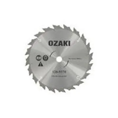 Image de Lame de scie à 20 dents, pointe en carbure, adaptable pour débroussailleuses – largeur de coupe 250 mm, alésage : 20,0 mm, épaisseur : 1,8 mm