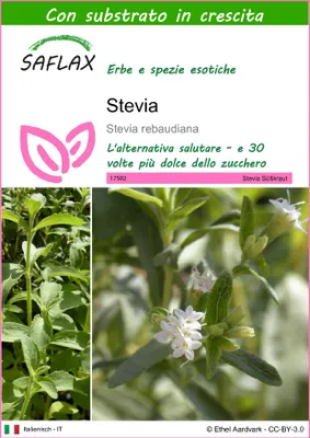 Immagine prodotto di SAFLAX - Stevia - 100 semi - Con substrato - Stevia