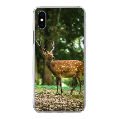 Produktbild von MuchoWow® Handyhülle Schutzhülle Hülle für iPhone Xs Rotwild - Wald - Tier Silikon Softcase Handy Hülle - Handytasche