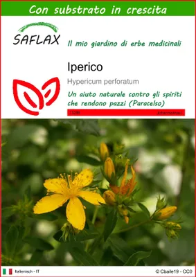 Immagine prodotto di SAFLAX  - Iperico - 300 semi - Con substrato - Hypericum
