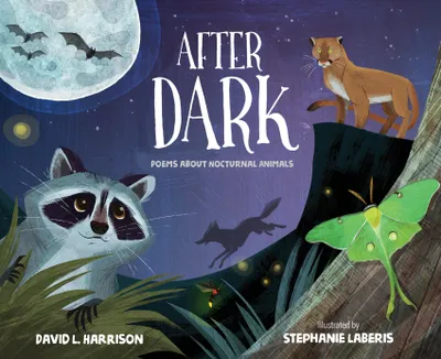 Produktbild von After Dark