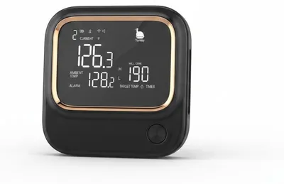 Productafbeelding van JL keuken - Vleesthermometer - WiFi en Bluetooth - 4 sondes, AI-gegenereerde afbeelding