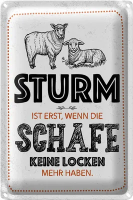 Produktbild von Blechschild Spruch lustig Sturm wenn Schafe Locken 18x12cm