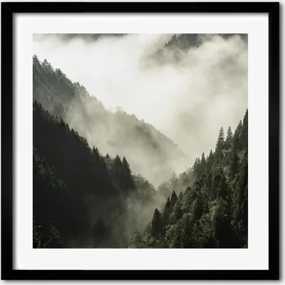 Produktbild von Bild - 50 cm x 50 cm - MDF - Rahmen, Wandkunst - Nebel über dem Wald