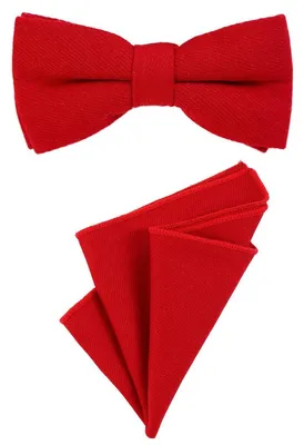 Produktbild von DonDon Herren Fliege 12 x 6 cm gebunden längenverstellbar und Einstecktuch 23 x 23 cm farblich passend aus Baumwolle rot
