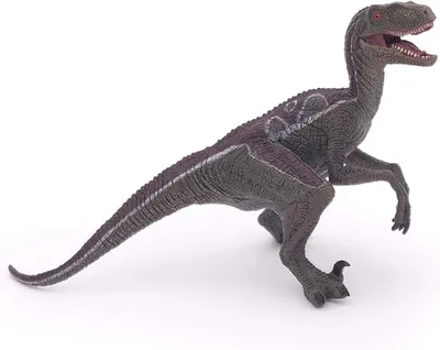 Produktbild von Papo Velociraptor, 0,8 Jahr(e), Dinosaurier, Grau, PVC