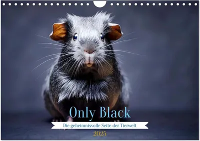 Produktbild von Only Black (Wandkalender 2025 DIN A4 quer), CALVENDO Monatskalender