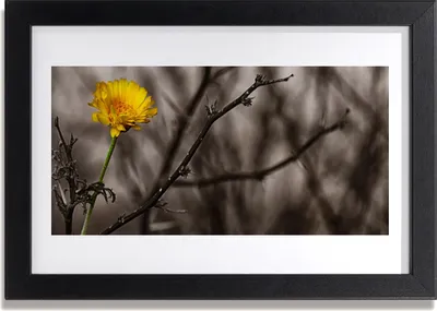 Produktbild von Bild 30x20 MDF-Rahmen Wandkunst Zweig Blume
