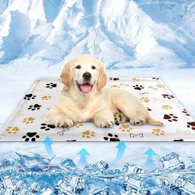 Immagine prodotto di Tappetino rinfrescante per cani e gatti, 50 x 40 cm, tappetino auto-raffreddante per cani, coperta per cani di tutte le taglie, per casa o in viaggio