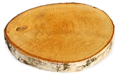 Produktbild von Baumscheiben 5 Stk. Dekoholz Holzscheibe Holzplatte 10 - 15 cm