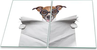 Produktbild von Herdabdeckplatte Glaskeramik 2-Teilig 2x40x52 Hund Braun Abdeckung Spritzschutz Glas