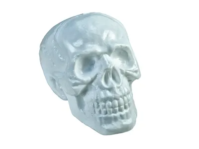 Produktbild von EUROPALMS Halloween Totenschädel, 31x22x22cm (83314669)