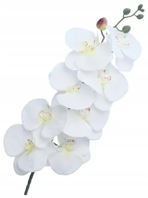 Produktbild von Künstliche Orchidee Weiß 90cm Zweig Dekoration Wie Echt