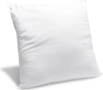 Image de Bleu Calin Oreiller Moelleux Anti-acariens 60x60cm
