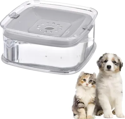 Productafbeelding van Famanu Hondenvoerbak 2 Liter - Antislip, grote capaciteit, lekvrij
