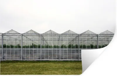 Produktbild von MuchoWow® - Wierderverwendbar - Selbstklebend