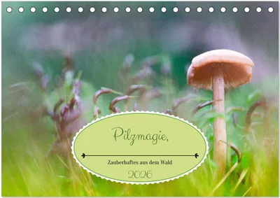 Produktbild von Pilzmagie (Tischkalender 2026 DIN A5 quer), CALVENDO Monatskalender