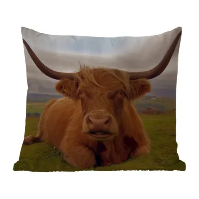 Obrázek produktu pro MuchoWow® Vnější polštář - Skotský horal - Zvířata - Hory -60x60 cm- Odolnost proti povětrnostním vlivům - polštář do obývacího pokoje