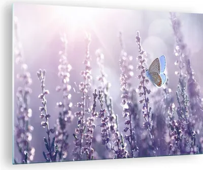 Produktbild von Bilder auf glas - Schmetterling Wiese Blume - 70x50cm - Glasbilder - Wandbilder - Kunstdruck - zum Aufhängen bereit - Wanddekoration aus Glas - Glas Bilder - Wandbild auf Glas - GAA70x50-4014