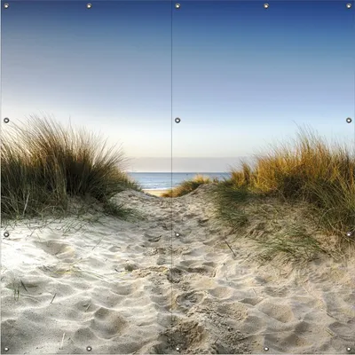 Produktbild von Wallario Outdoor-Poster für Garten oder Balkon, Motiv Weg durch die Dünen zum Strand am Meer, in ca. 180 x 180 cm