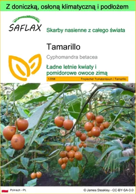 Zdjęcie produktu dla SAFLAX - Garden to go - Tamarillo - 50 Nasiona - Z doniczką, pokrywą klimatyczną i podłożem do uprawy - Cyphomandra betacea