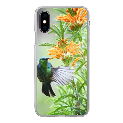 Produktbild von MuchoWow® Handyhülle Schutzhülle Hülle für iPhone X Nahaufnahme eines bunten Vogels neben Pflanzen mit orangefarbenen Blüten Silikon Softcase Handy Hülle - Handyhülle