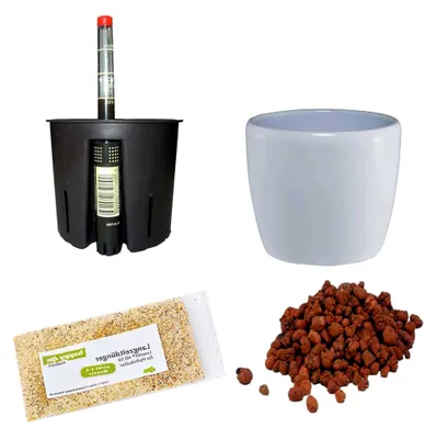 Produktbild von Set5 Blumentopf Venus weiß 13/12 Ø 16cm H 14cm+KT+WA+BT+HD50