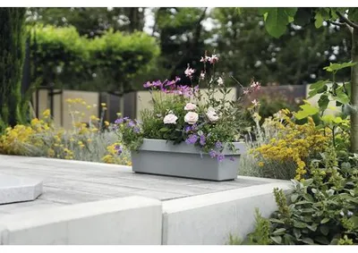 Produktbild von Blumenkasten geli VIVA Kunststoff 80 x 21,2 x 17,1 cm betongrau inkl. Erdbewässerungsystem