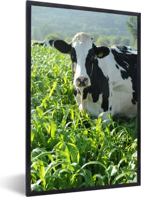 Produktbild von MuchoWow® Gerahmtes Poster Kuh - Gras - Berg - Tiere 20x30 cm - Poster mit Schwarzem Bilderrahmen Wandposter Rahmen Foto Bilder - Drucken - Bilder Poster im Rahmen