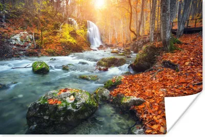 Produktbild von MuchoWow® Poster Natur - Sonne - Herbst 120x80 cm - Bilder