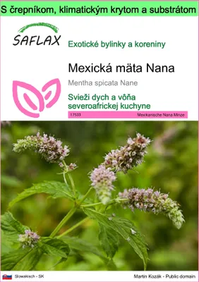 Obrázok produktu pre SAFLAX Garden to go - Mexická mäta Nana - Mentha spicata Nane - 500 Semená - S črepníkom, klimatickým vekom a pestovateľským substrátom