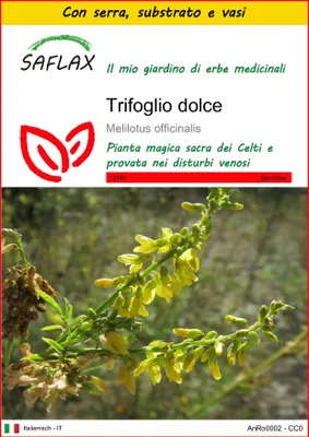 Immagine prodotto di SAFLAX Insieme di coltivazione - Trifoglio dolce - 250 semi - Melilotus