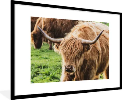 Produktbild von MuchoWow® Gerahmtes Poster Schottische Highlander - Tiere - Gras 90x60 cm - Poster mit Schwarzem Bilderrahmen Wandposter Rahmen Foto Bilder - Wanddekoration - Fotos
