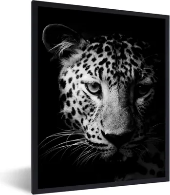 Produktbild von MuchoWow® Gerahmtes Poster Panther - Wildtiere - Schwarz und weiß - Tiere 60x80 cm - Poster mit Schwarzem Bilderrahmen Wandposter Rahmen Foto Bilder - Premium - Wanddeko Wohnzimmer