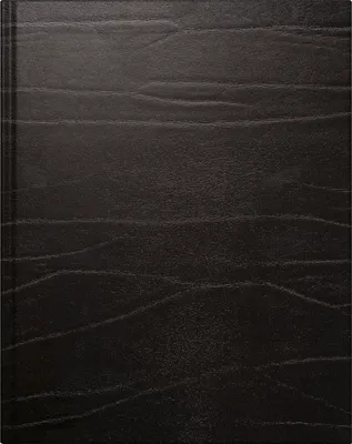 Produktbild von Buchkalender Managerkalender TM 20,5x26cm 1 Woche/2 Seiten Leder schwarz 2027