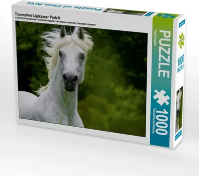 Produktbild von CALVENDO Puzzle Traumpferd Lipizzaner Porträt | 1000 Teile Lege-Größe 64x48cm Foto-Puzzle für glückliche Stunden