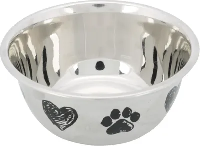 Image de Petite gamelle pour chien chat 0,5 L 13 cm acier