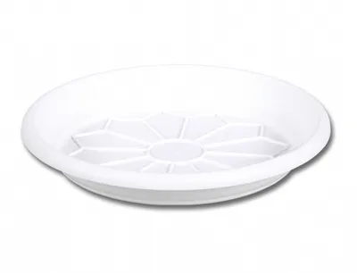 A white plastic plant saucer with a decorative pattern on the inside.