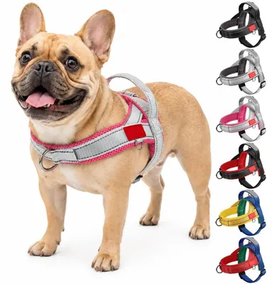 Produktbild von Hundegeschirr Anti Zug mit Griff für Welpen und kleine Hunde, verstellbar, gepolstert, reflektierend, Grau/Rosenrot, L