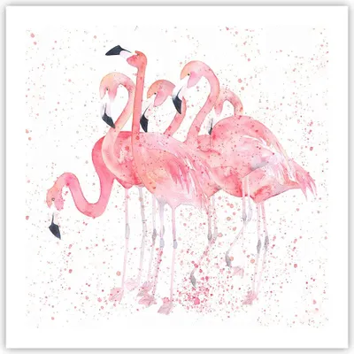 Produktbild von Poster - Poster ohne Rahmen - Flamingo Vogel Wasser - 60x60 cm - Wand Bild - Wanddeko - Wandbilder - Kunstposter - Wandposter - Bilder - Kunstdruck - Wanddekoration - Wandbild - P2XAC60x60-3899