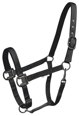 Produktbild von Waldhausen Halfter Gloomy Schwarz VB