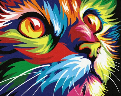 Malen nach Zahlen Set, bunte Katze, 40x50 cm, DIY Leinwand