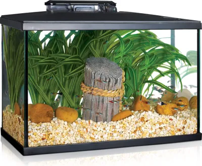 Produktbild von Marina LED-Aquarium-Set 5G, 20L