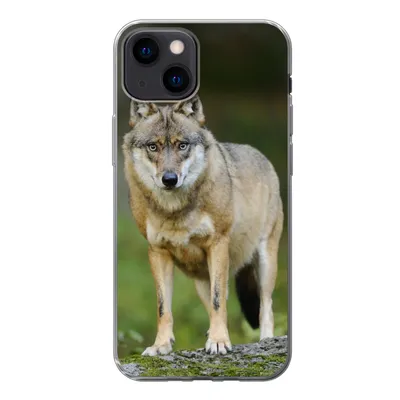 Produktbild von MuchoWow® Handyhülle Schutzhülle Hülle für iPhone 13 mini Wolf - Asien - Pflanzen Silikon Softcase Handy Hülle - Softcase