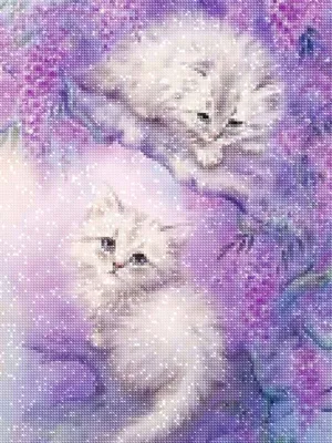 Produktbild von Diamantstickerei Zwei weiße Katzen 35x45 cm